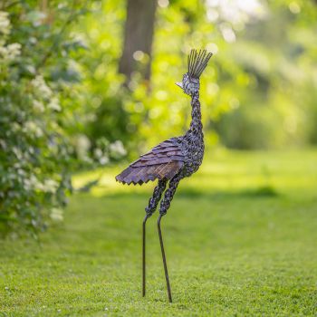 Kroonkraanvogel klein
